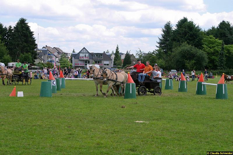 Ponytag Bosbach 2012-008.jpg